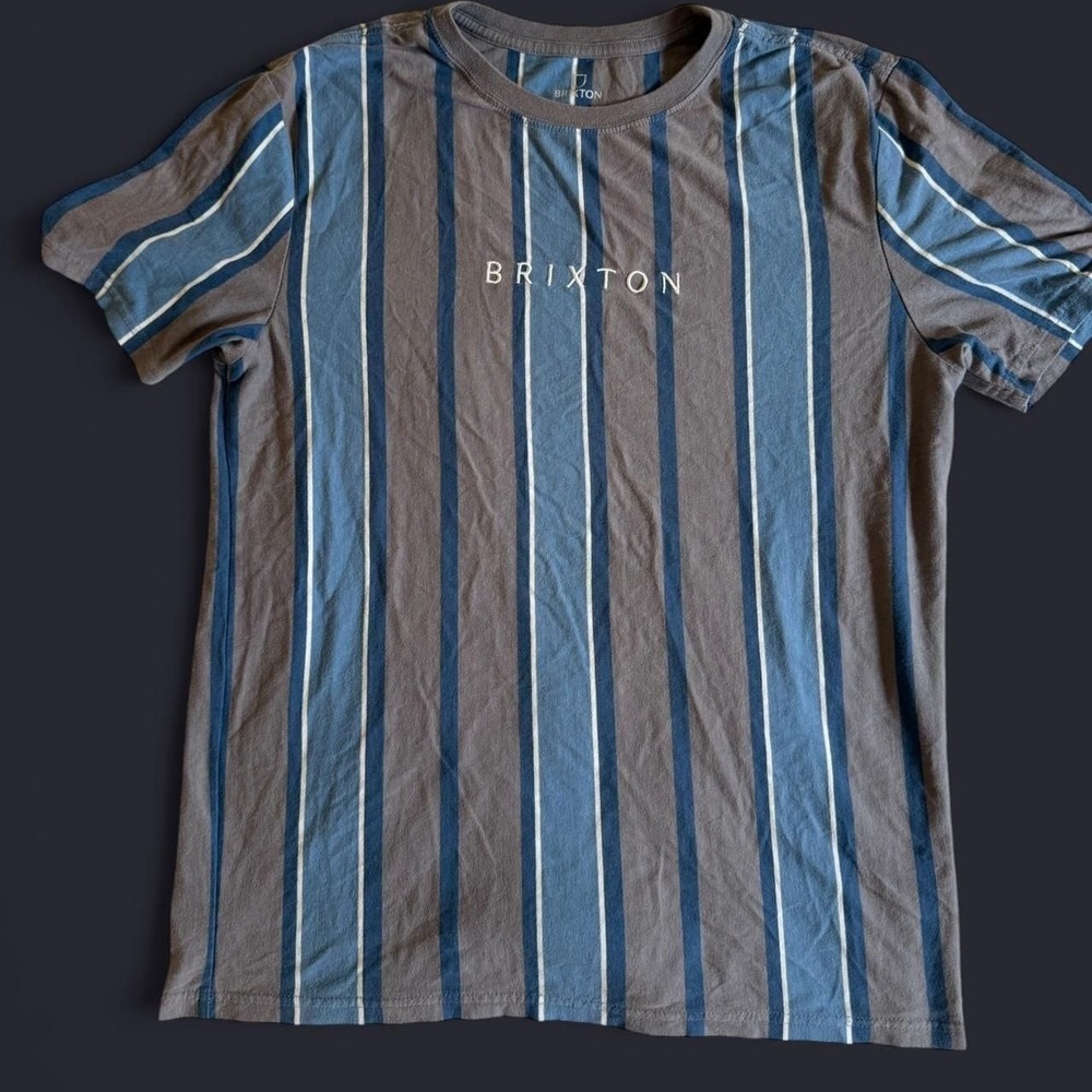 Brixton Striped T-Shirt, Blue and Grey Vertical Stripes, Men's Size Small